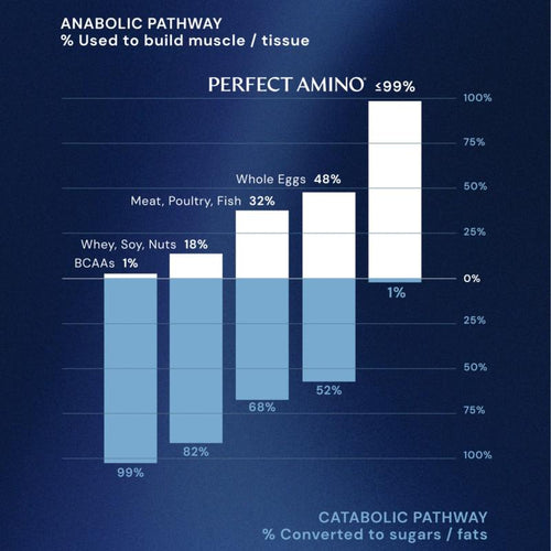 PerfectAmino Powder